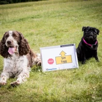 Q7A3358-1-787x590(2021)